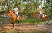 Туры в отель The Lodge At Uxmal