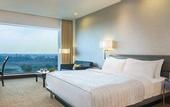 Туры в отель Le Meridien Nagpur