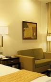 Туры в отель Le Meridien Nagpur