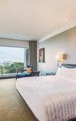 Туры в отель Le Meridien Nagpur