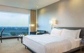 Туры в отель Le Meridien Nagpur