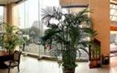 Туры в отель Jinqiao International Apartmen