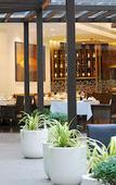 Туры в отель Courtyard by Marriott Bhopal