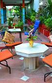 Туры в отель Hotel Harmony
