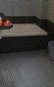 Туры в отель Hotel Tokyo Palace