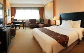 Туры в отель Hotel Danau Toba International