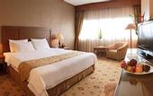 Туры в отель Hotel Danau Toba International