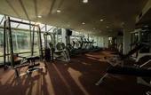 Туры в отель The Arista Hotel
