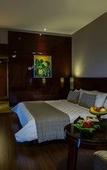Туры в отель The Arista Hotel