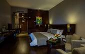 Туры в отель The Arista Hotel