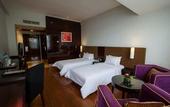 Туры в отель The Arista Hotel
