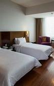 Туры в отель The Arista Hotel