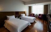 Туры в отель The Arista Hotel