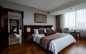 Туры в отель The Arista Hotel