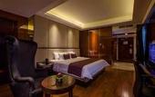 Туры в отель The Arista Hotel