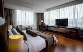 Туры в отель The Arista Hotel