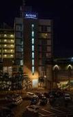 Туры в отель The Arista Hotel