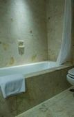 Туры в отель The Arista Hotel