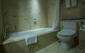 Туры в отель The Arista Hotel