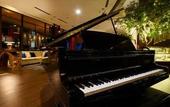 Туры в отель The Arista Hotel