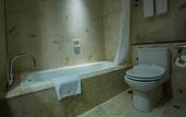 Туры в отель The Arista Hotel