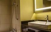 Туры в отель The Arista Hotel
