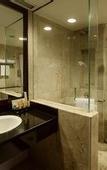 Туры в отель The Arista Hotel
