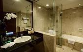 Туры в отель The Arista Hotel