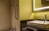 Туры в отель The Arista Hotel