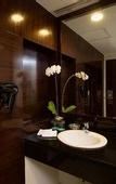 Туры в отель The Arista Hotel