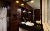 Туры в отель The Arista Hotel