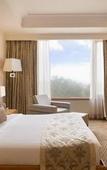 Туры в отель Ramada Plaza by Wyndham JHV Varanasi