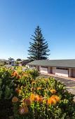 Туры в отель Country Comfort Amity Motel