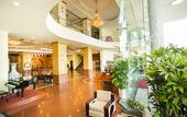 Туры в отель Seagull Hotel