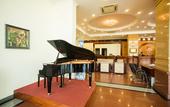 Туры в отель Seagull Hotel