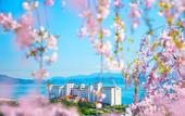 Туры в отель AoAwo Naruto Resort