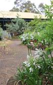 Туры в отель Margaret River Motel
