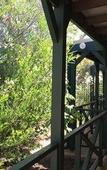 Туры в отель Margaret River Motel