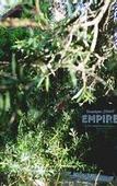 Туры в отель Yala Yallingup Retreat and Spa
