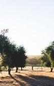 Туры в отель Yala Yallingup Retreat and Spa