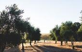 Туры в отель Yala Yallingup Retreat and Spa