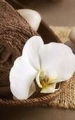 Туры в отель Yala Yallingup Retreat and Spa