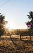 Туры в отель Yala Yallingup Retreat and Spa