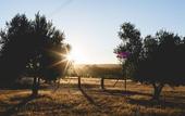 Туры в отель Yala Yallingup Retreat and Spa