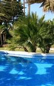 Туры в отель Villa Mediterranea