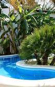 Туры в отель Villa Mediterranea