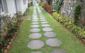 Туры в отель Sterling Ooty Fern Hill