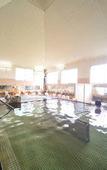 Туры в отель Hotel Pony Onsen