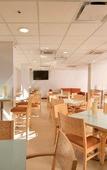 Туры в отель City Express by Marriott Torreon