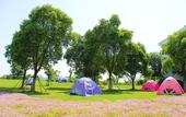 Туры в отель Radisson Blu Resort Wetland Park Wuxi